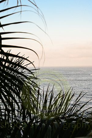 Sayulita, MX
