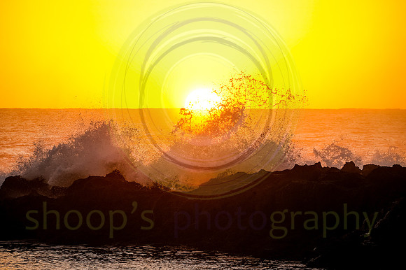 North Shore Oahu