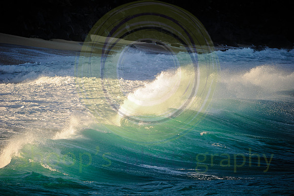 North Shore Oahu