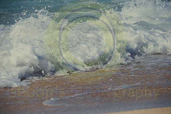 North Shore Oahu