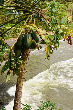 Nicaragua
