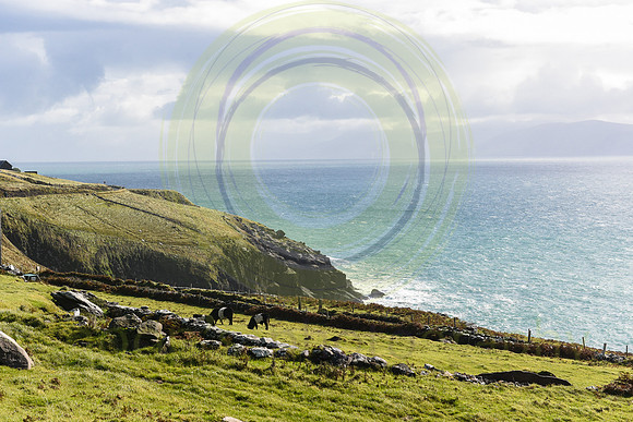Ireland