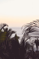 Sayulita, MX