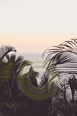 Sayulita, MX